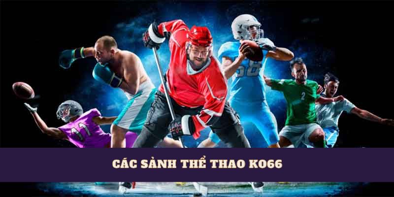 Các sảnh thể thao Ko66